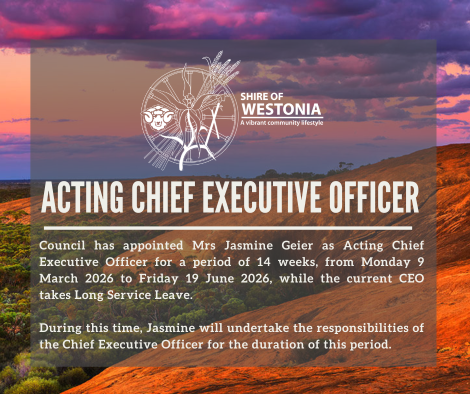 ACTING CHIEF EXECUTIVE OFFICER