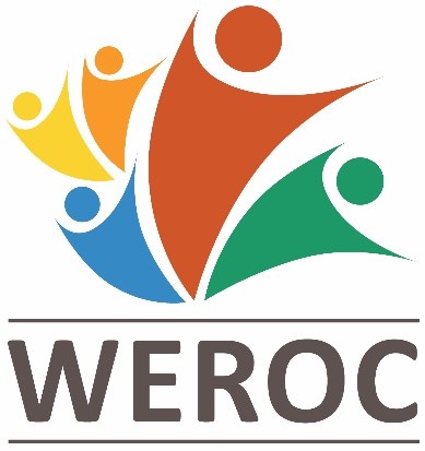 Executive Officer - Consultant