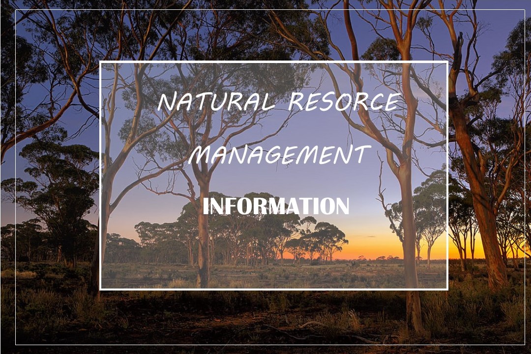 2019 Expressions of Interest - Revegetation & Fencing Assistance