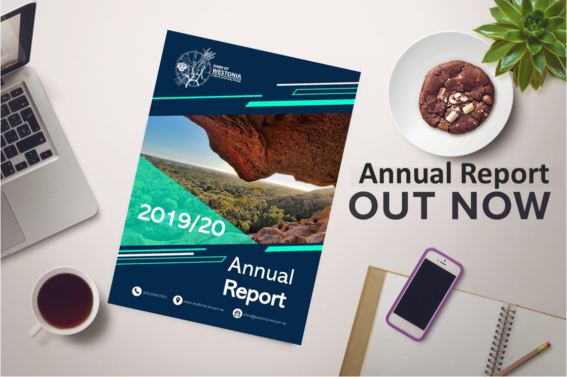 AVAILABILITY OF ANNUAL REPORT 2019/20 and ANNUAL GENERAL MEETING OF