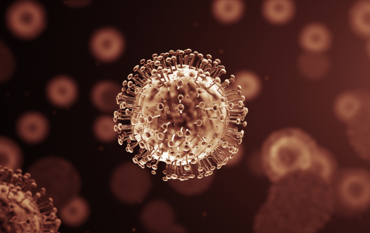 CORONAVIRUS (COVID-19)