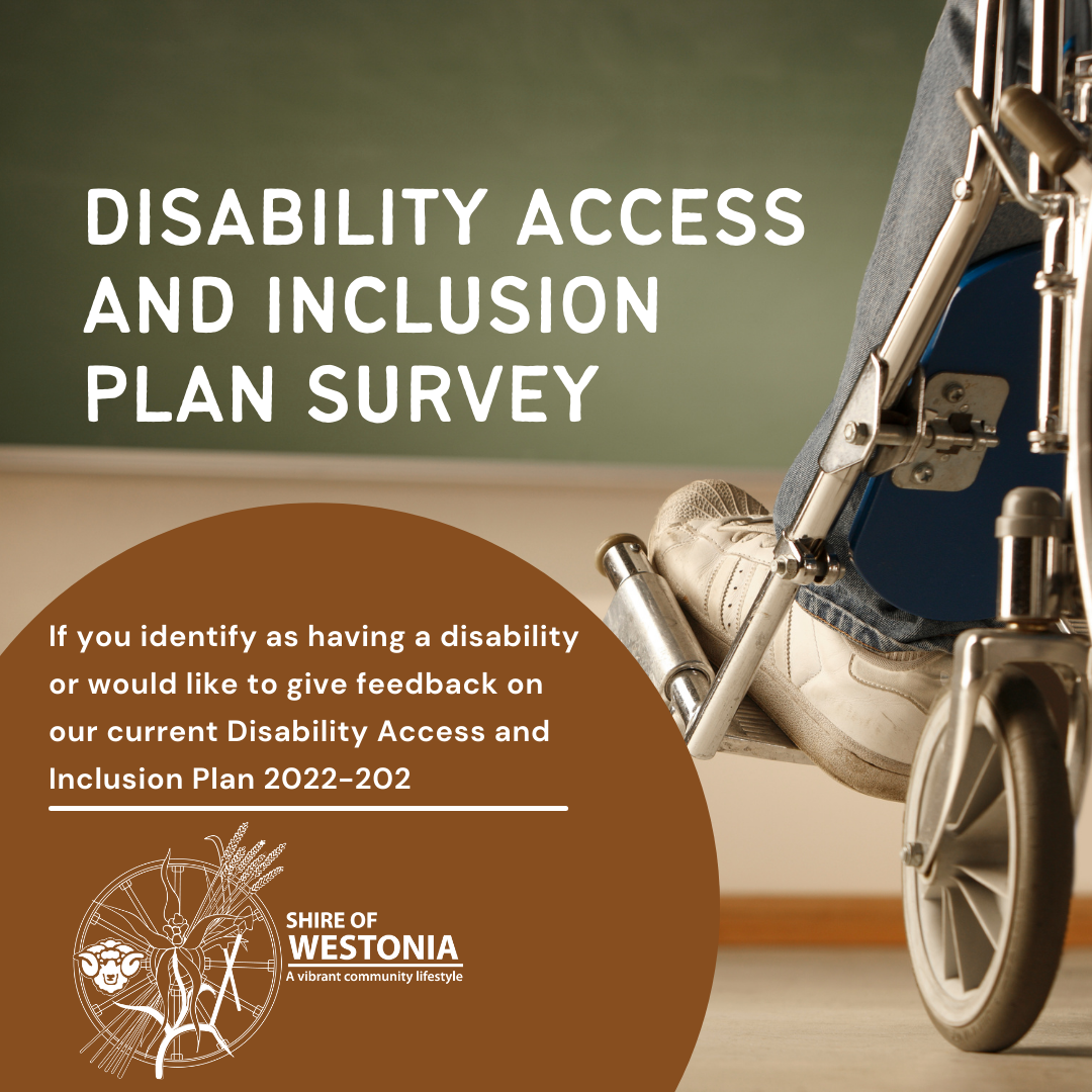 DISABILITY ACCESS AND INCLUSION PLAN AVAILABILITY